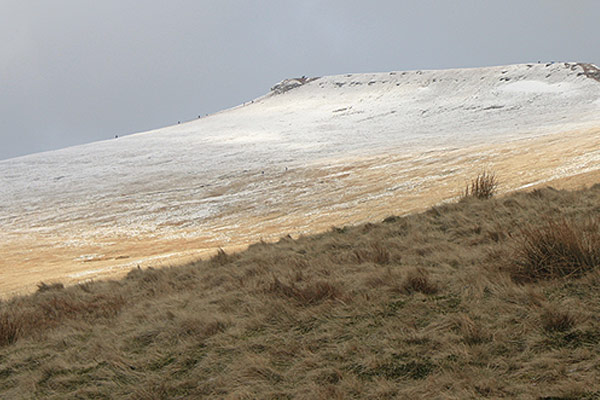 <font color=#bdbdb6 face=Verdana>Series of photographs. Peat formations. Fforest Fawr Geo Park <br />
<em>39 x 52cm wide, framed - 2009</em></font>
